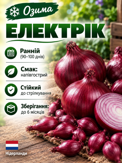 Цибуля сіянка Електрік 0,5 кг