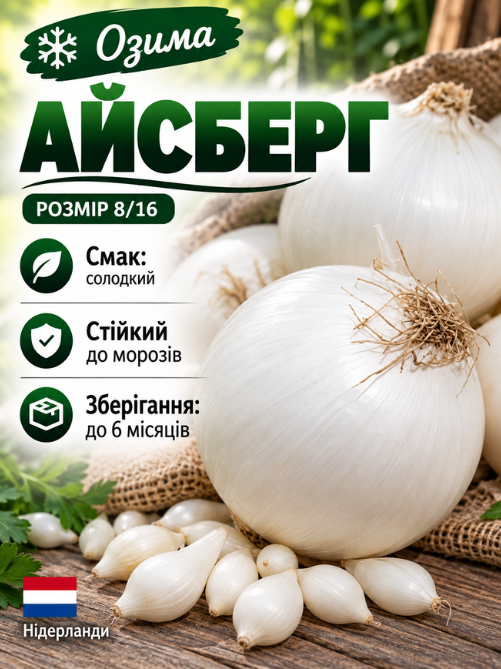 Цибуля сіянка Айсберг 0,5 кг
