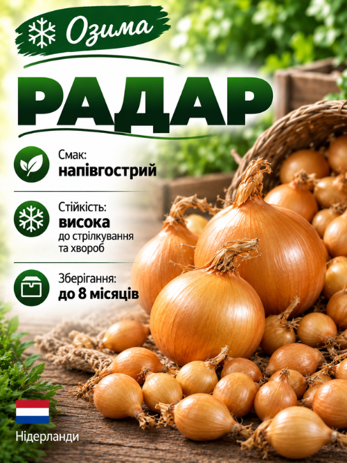 Цибуля сіянка Радар 0,5 кг