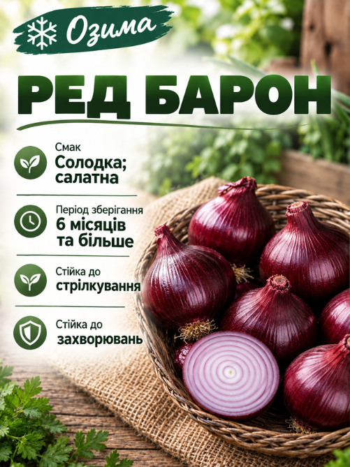 Цибуля сіянка Ред Барон 8/16 0,5 кг