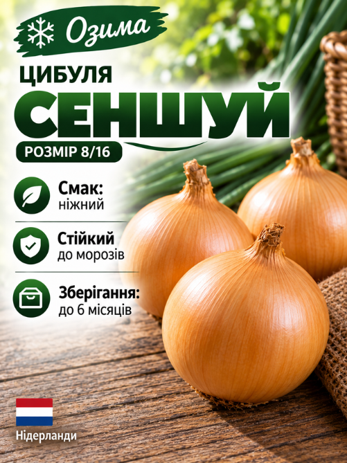 Цибуля сіянка Сеншуй 0,5 кг