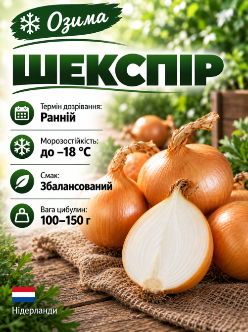 Цибуля сіянка Шекспір 0,5 кг