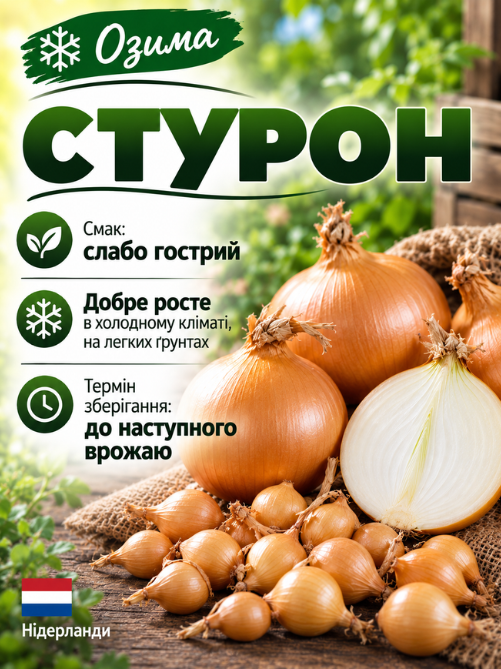 Цибуля сіянка Стурон 0,5 кг