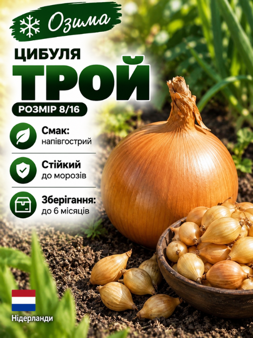 Цибуля сіянка Трой F1 0,5 кг