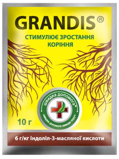 Грандіс 10г.