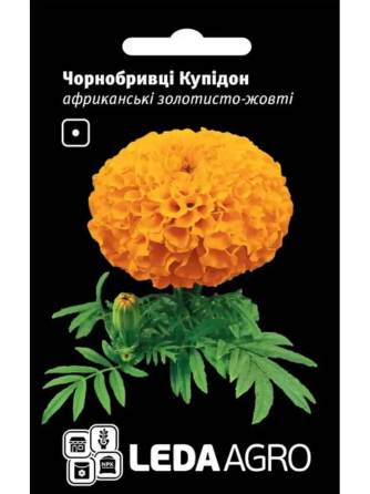 Чорнобривці Купідон золотисто-жовті 0,2 г LEDA