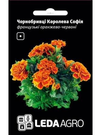 Чорнобривці Королева Софія 0,25 г LEDA