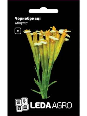 Чорнобривці Мінута 0,3 г LEDA