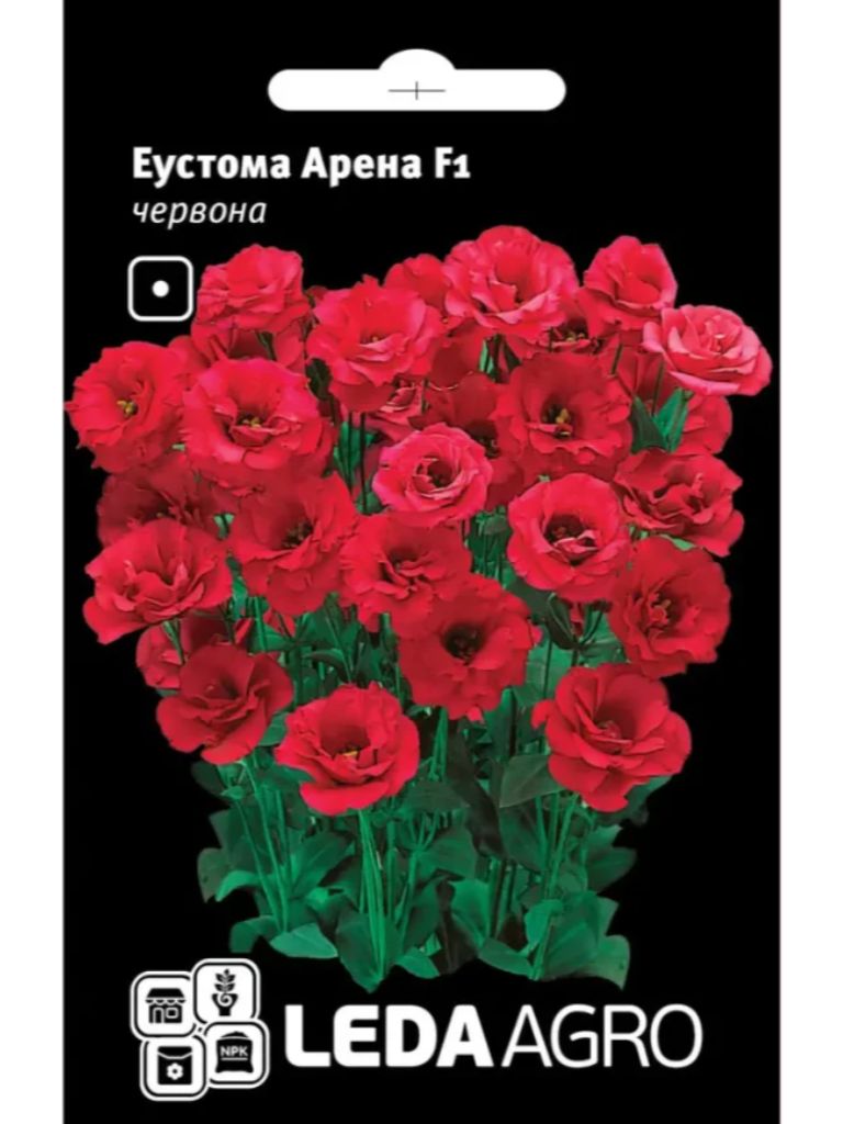 Еустома арена червона LEDA