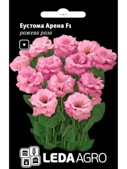 Еустома арена рожева роза LEDA