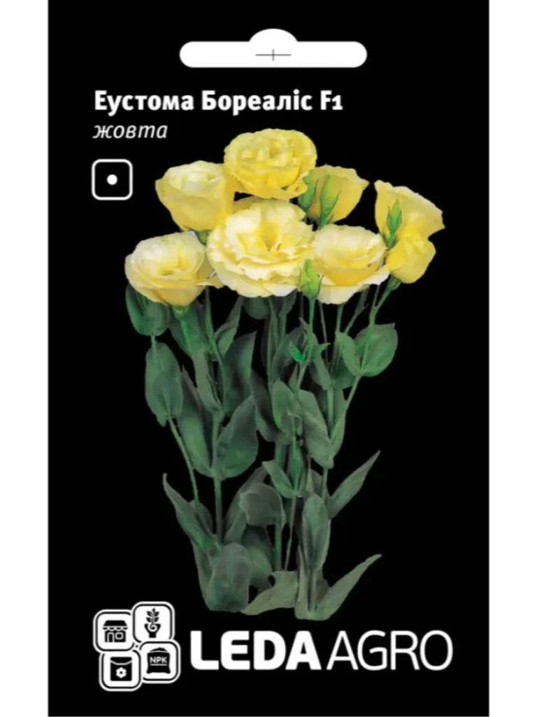 Еустома бореаліс жовта LEDA
