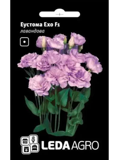 Еустома ехо лавандова LEDA