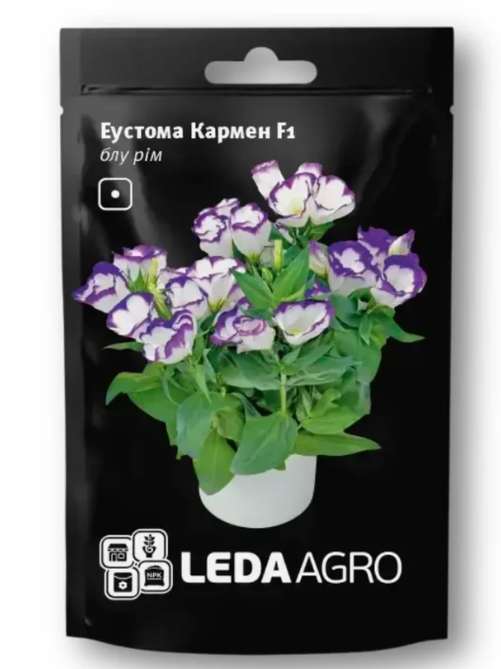Еустома Кармен блу рім LEDA