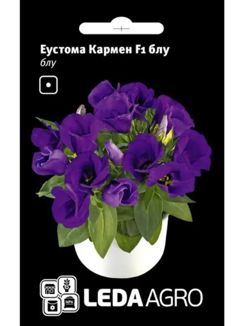 Еустома Кармен блу LEDA