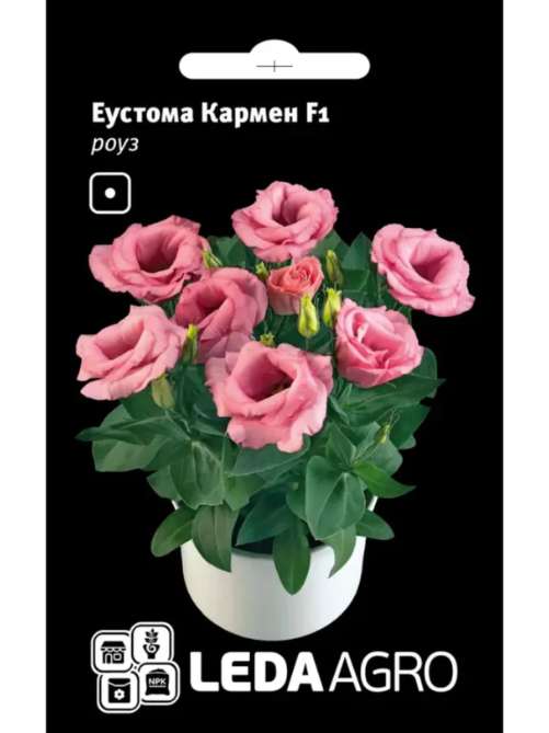 Еустома Кармен Роуз LEDA