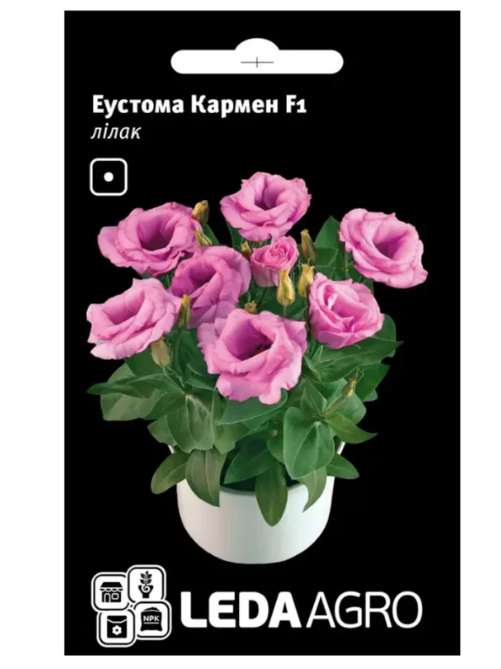 Еустома Кармен лілак LEDA