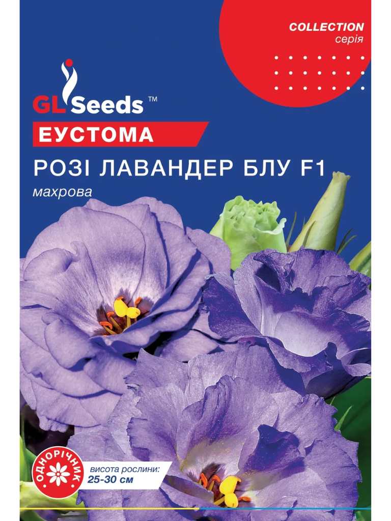 Еустома Розі Лавендер Блу GLS