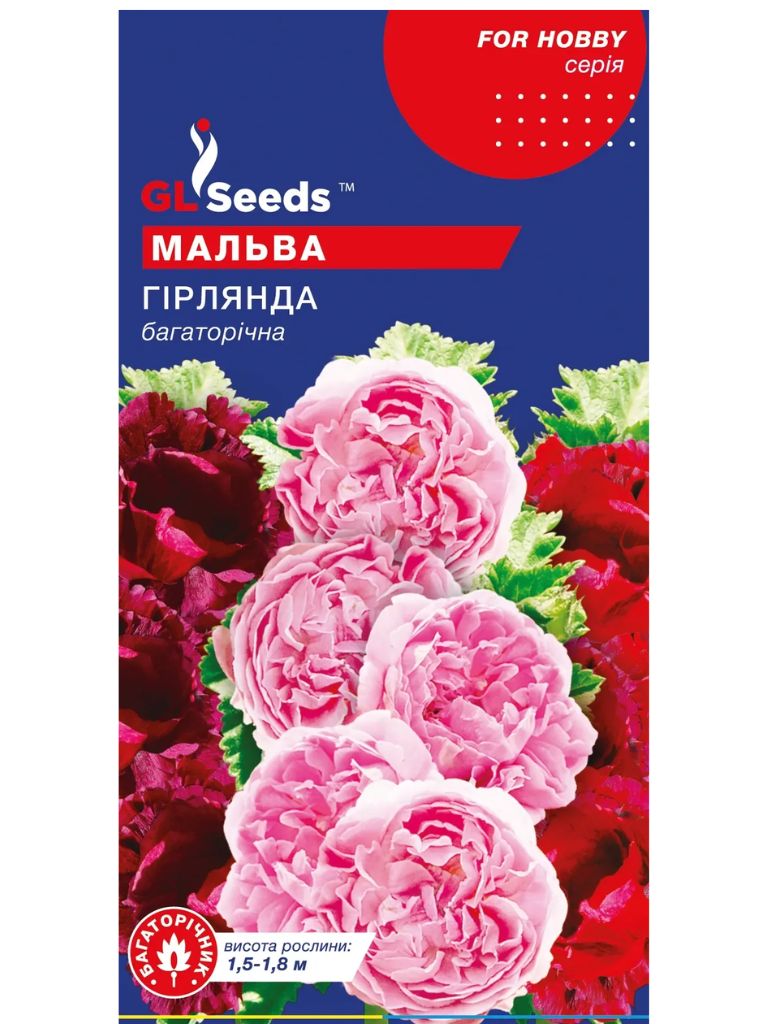 Мальва Гірлянда