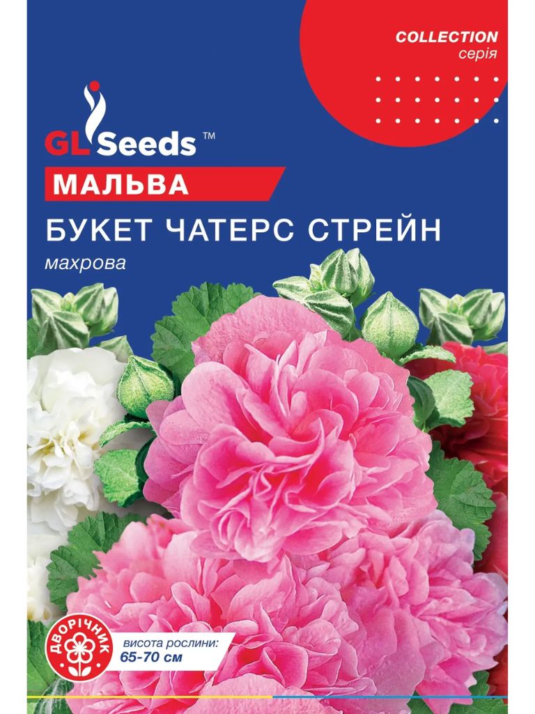 Мальва Букет Чатерз Стрейн