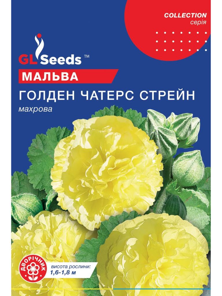 Мальва Голден Чатерз Стрейн