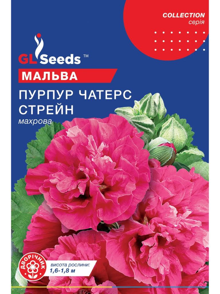 Мальва Пурпур Чатерз Стрейн