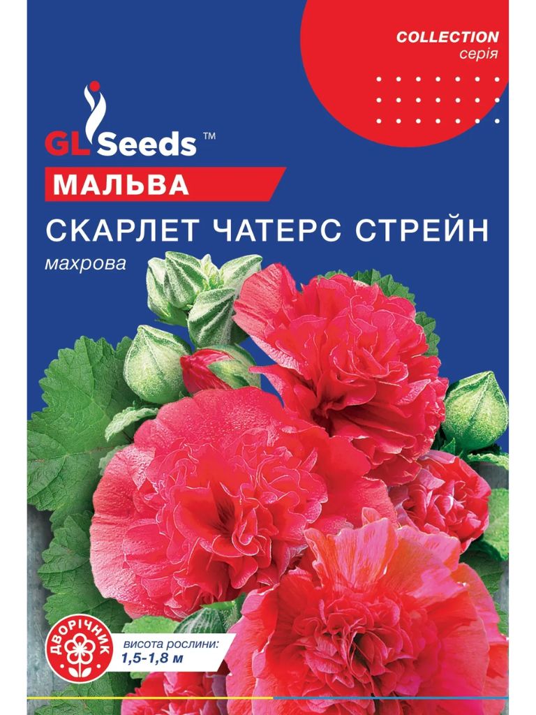 Мальва Скарлет Чатерз Стрейн GLS