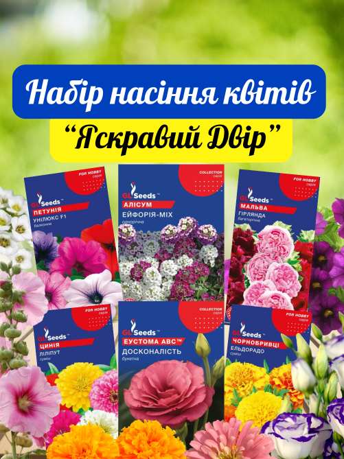 Набір насіння квітів (6уп)