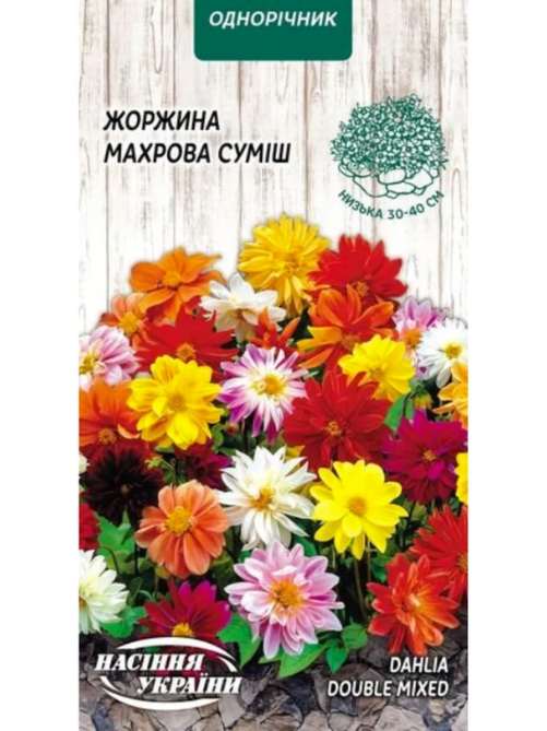 Жоржина Махрова (суміш)