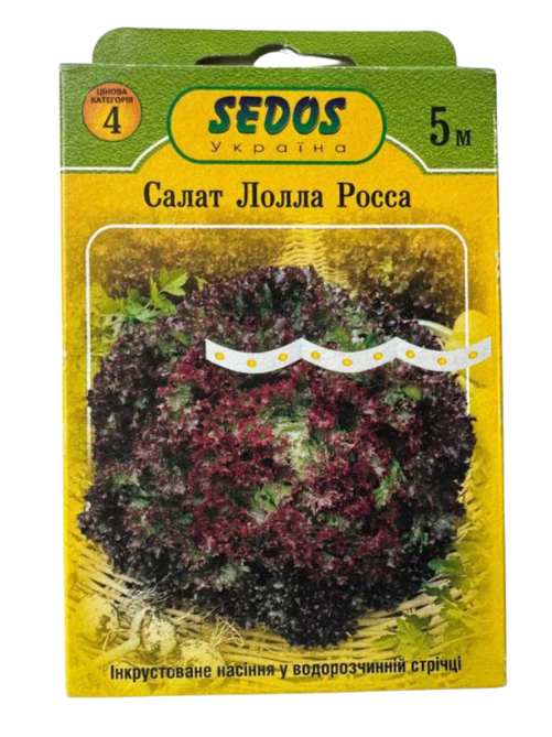 Салат Лолла Росса (5м)