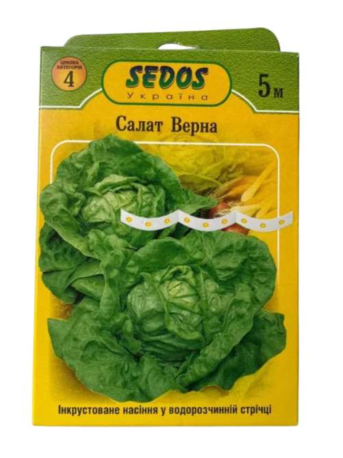 Салат Верна (5м)