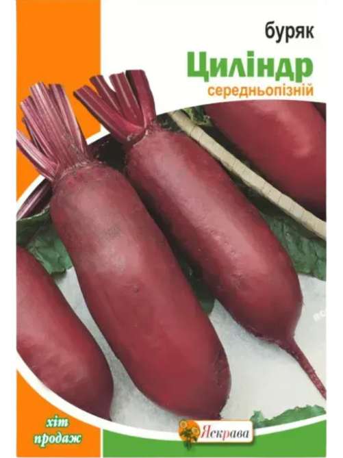 Буряк Циліндра (ЯСКРАВА) 20г.