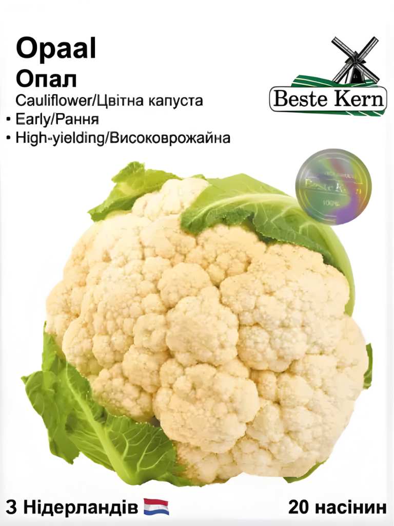 Капуста цвітна Опал (Beste Kern)