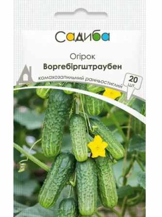 Огірок Воргебіргштраубен (20шт.) САДИБА
