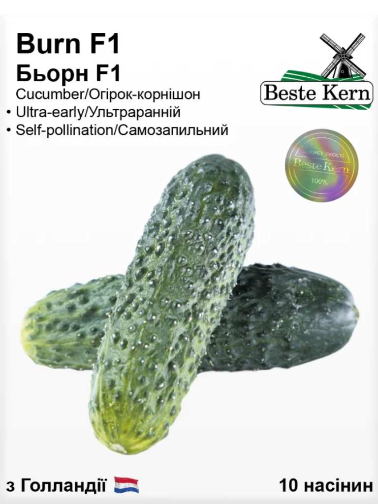 Огірок Бьорн F1 (Beste Kern)