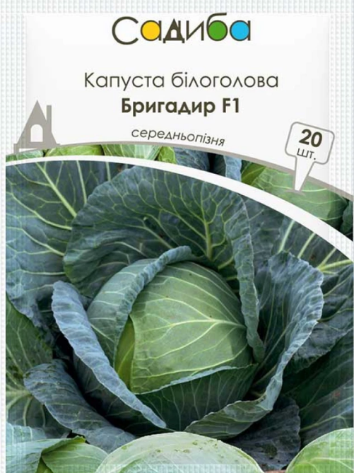 Капуста білоголова Бригадир F1 20 шт САДИБА