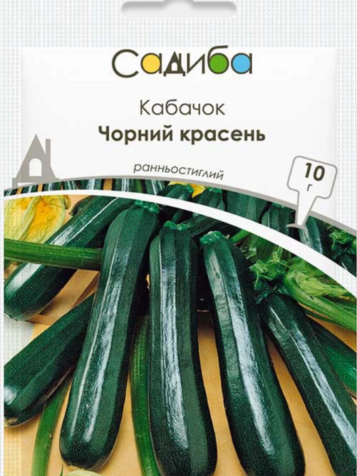 Кабачок Чорний красень 10 г САДИБА