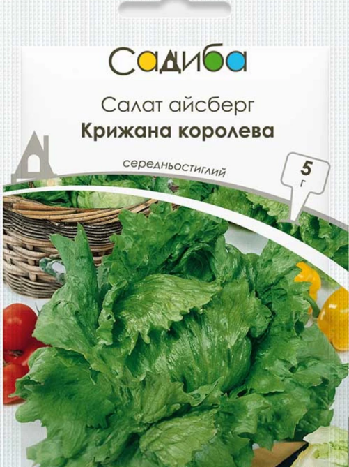Салат айсберг Крижана королева 5 г САДИБА