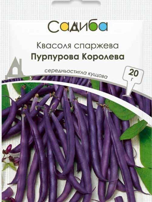Квасоля спаржева Пурпурова Королева 20 г САДИБА