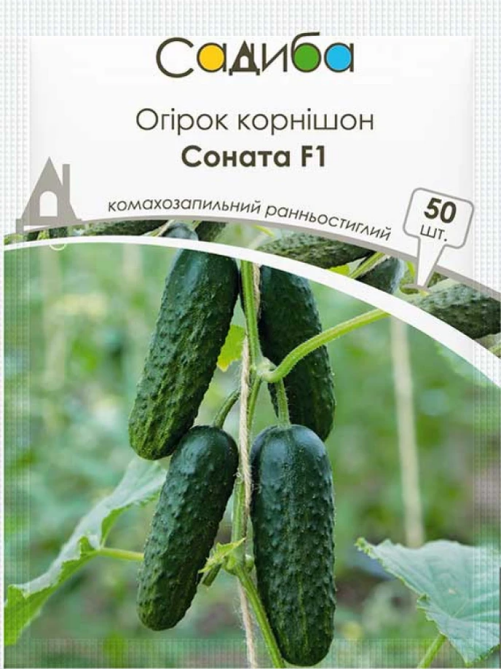 Огірок Соната F1 50 шт САДИБА